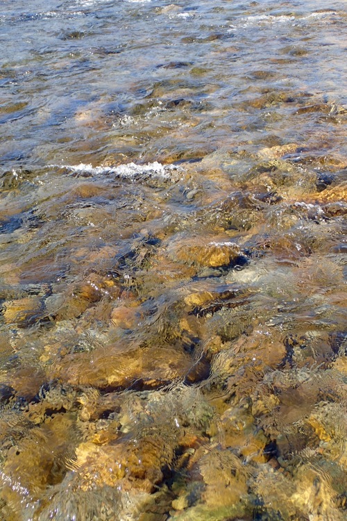 f0141392_2221734.jpg