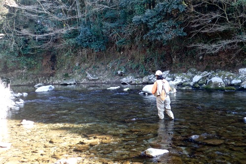 f0141392_2264546.jpg