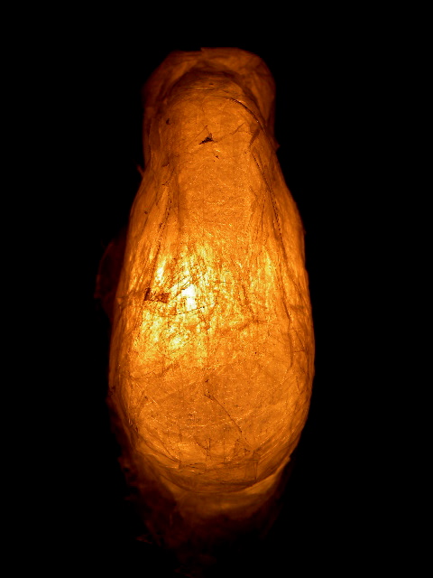 a0199297_2346283.jpg