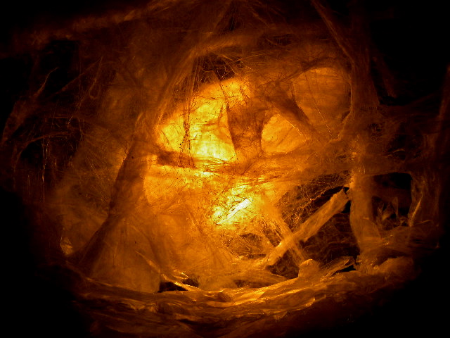 a0199297_23472332.jpg