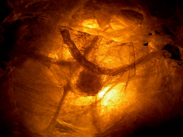 a0199297_23473677.jpg