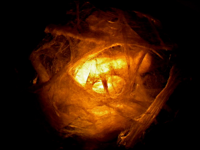 a0199297_23475999.jpg