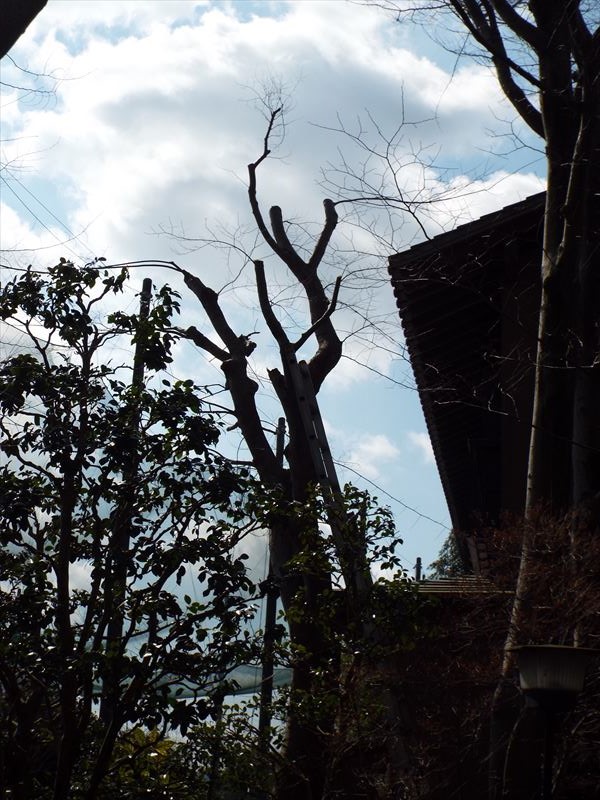 c0108198_18152334.jpg