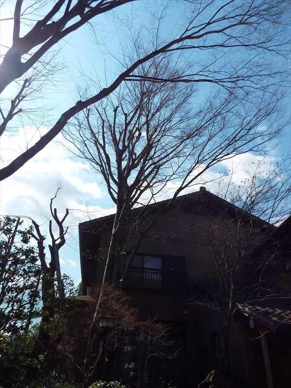 c0108198_18155358.jpg