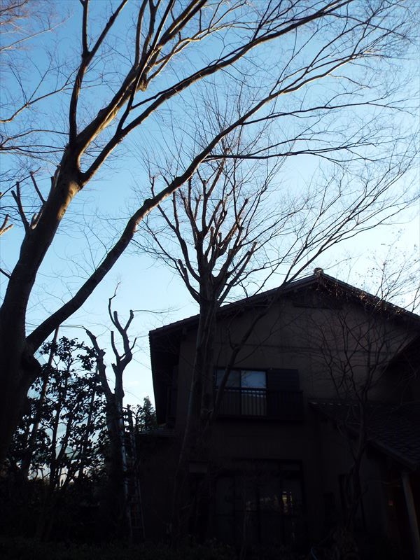 c0108198_18162369.jpg