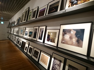 d0091909_1415265.jpg