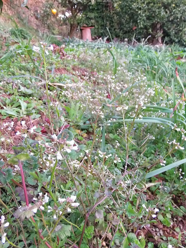 a0125419_07091298.jpg
