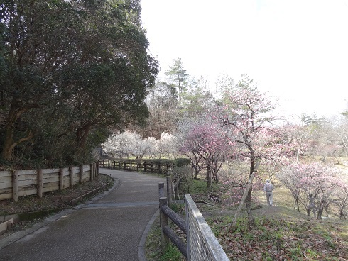 f0000521_06590098.jpg