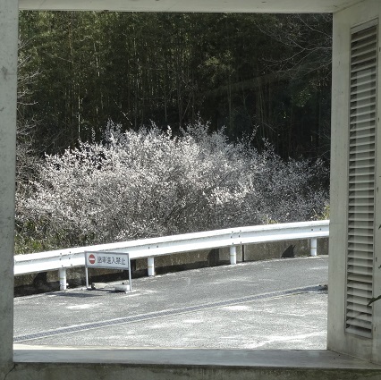 f0000521_07025245.jpg
