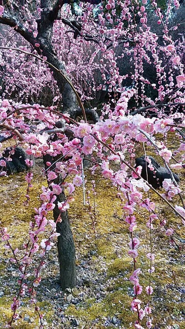 c0223630_1653252.jpg