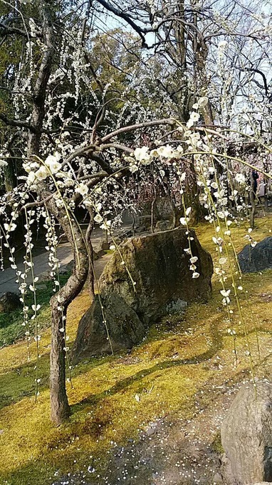 c0223630_1675572.jpg
