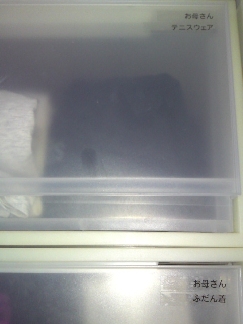 b0351835_20251525.jpg