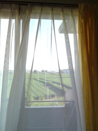 b0351835_20261244.jpg