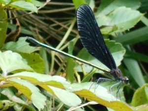 b0351835_20283566.jpg