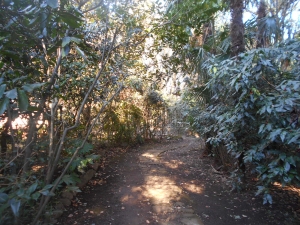 b0351835_20293479.jpg