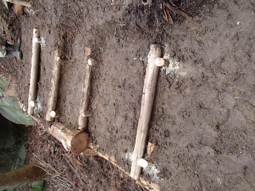 f0187336_2140505.jpg