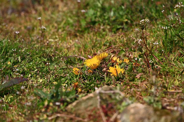 a0242438_19215634.jpg