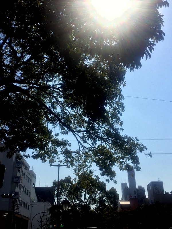 b0057140_2354077.jpg