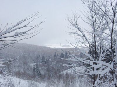 a0142343_14125617.jpg