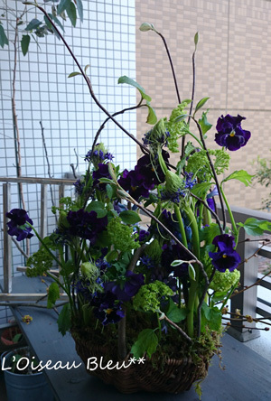 a0200050_22280840.jpg