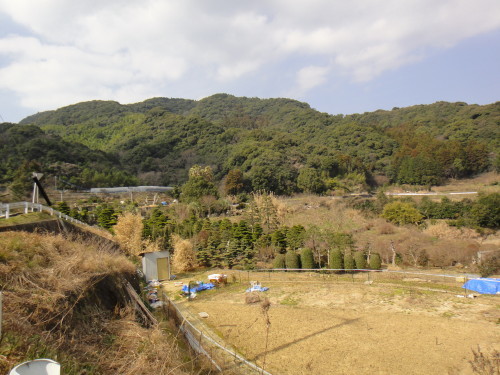 c0179351_20030738.jpg