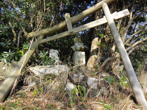 c0179351_20061546.jpg