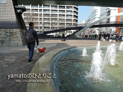 a0286855_6303586.jpg
