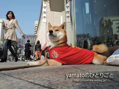 a0286855_631317.gif