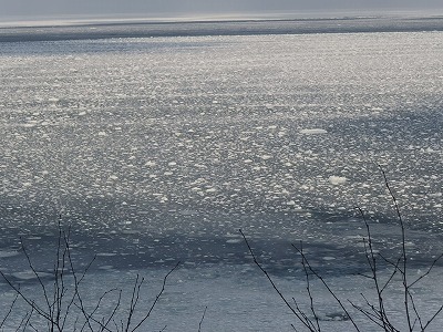 e0004756_2075489.jpg