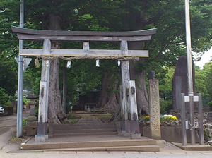 a0057057_1414667.png