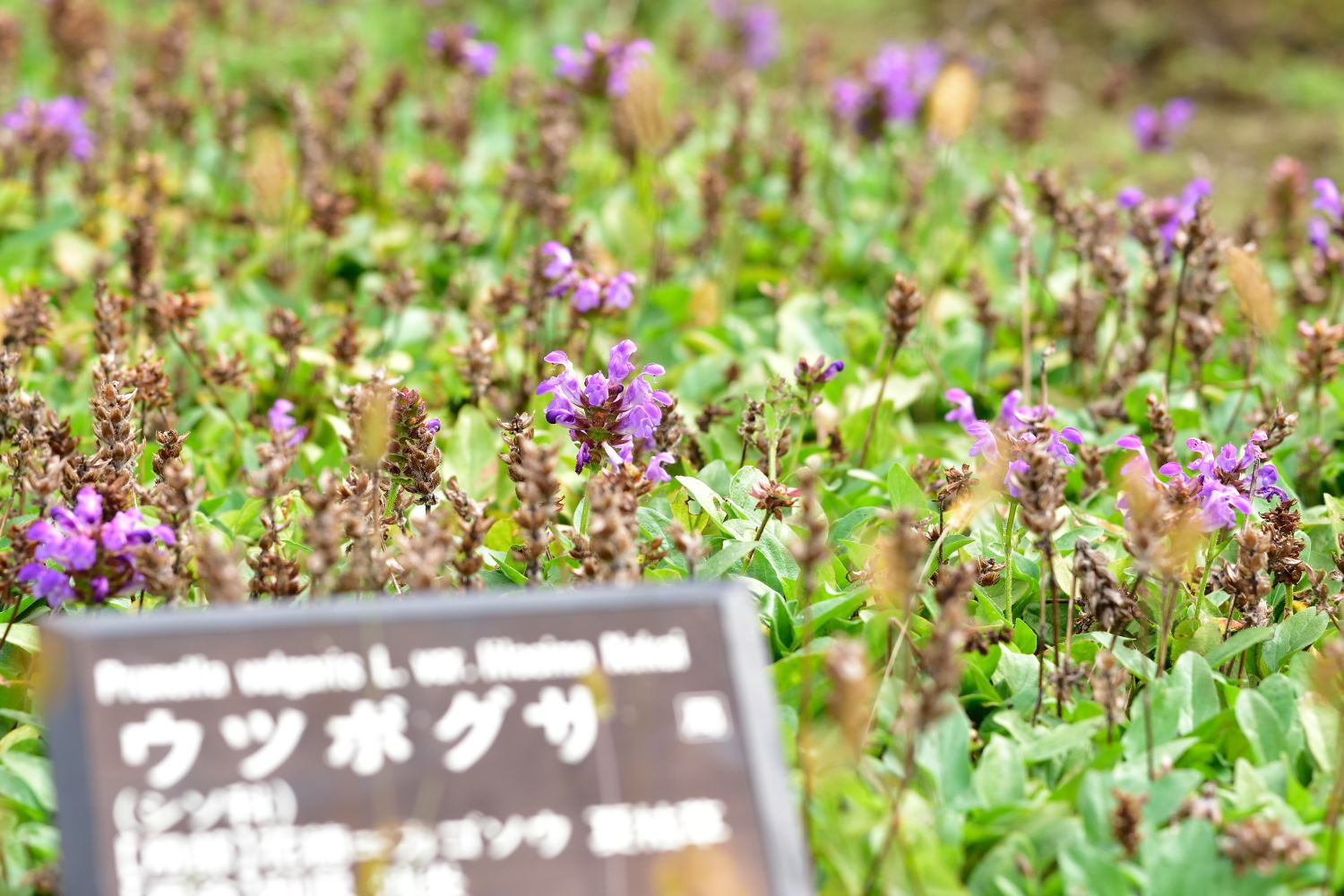b0346568_23571113.jpg