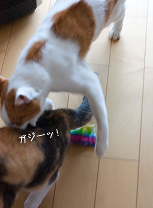 a0119470_20193586.jpg