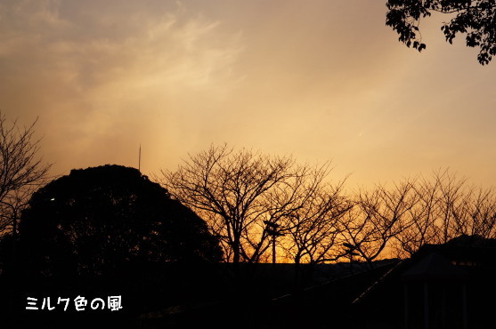 c0368870_16162725.jpg