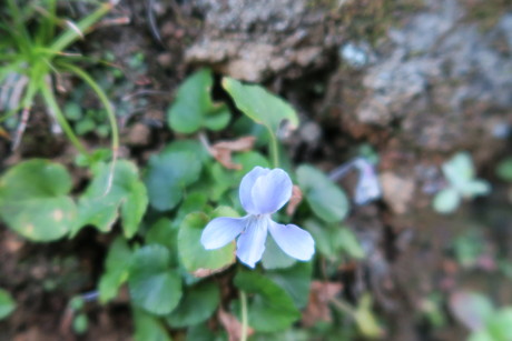 e0292172_20324812.jpg
