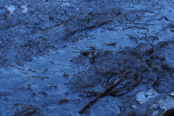 e0307372_09143886.jpg