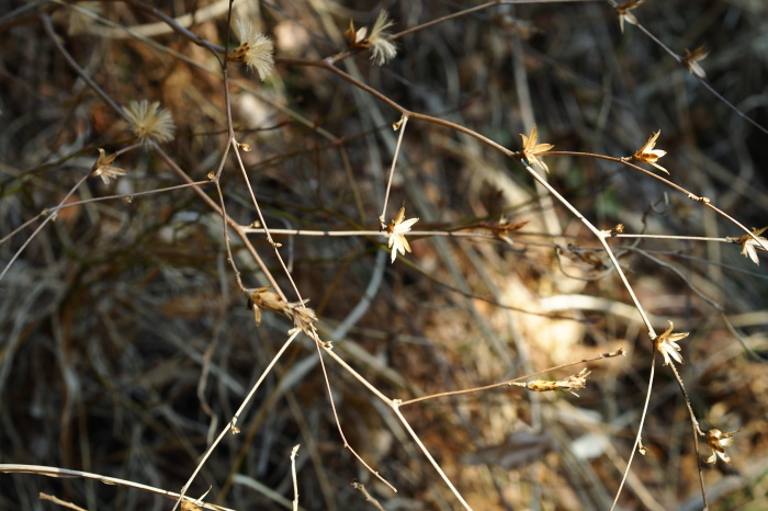 e0307372_16521477.jpg