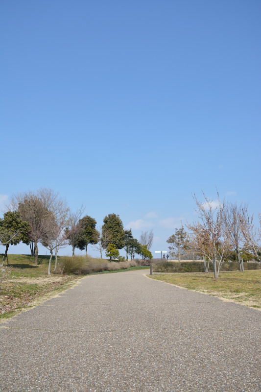 c0367473_16573115.jpg