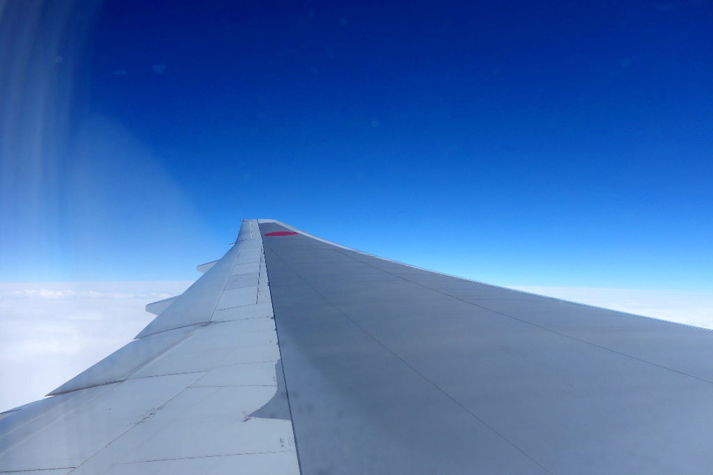 c0005077_702742.jpg