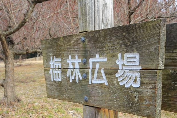 c0283778_9423977.jpg