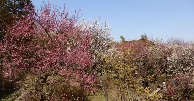 b0197486_7485578.jpg