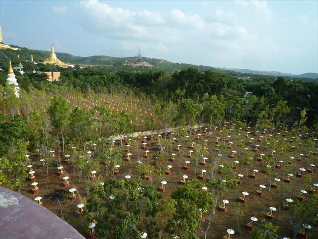 b0287088_17350624.jpg