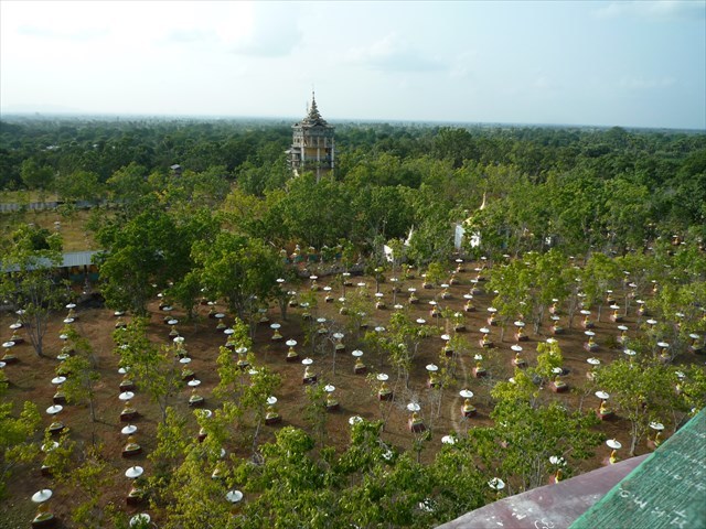 b0287088_17354427.jpg
