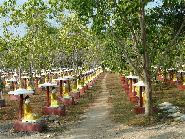 b0287088_17402397.jpg