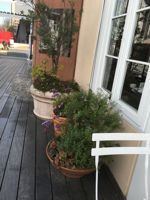 b0311190_11320815.jpg