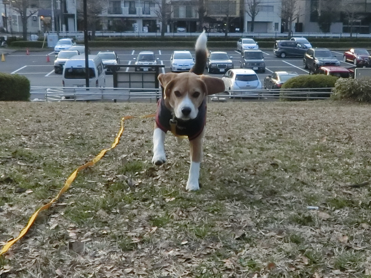 a0319693_912231.jpg