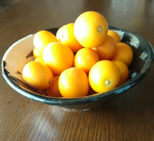 a0323194_02283098.jpg