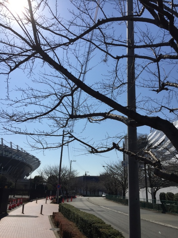 a0357894_17420040.jpeg