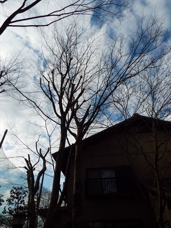 c0108198_18113736.jpg