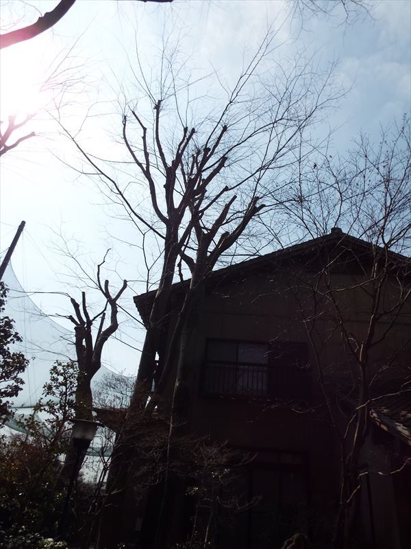 c0108198_18115664.jpg