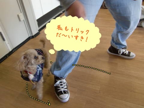a0338800_16534465.jpg